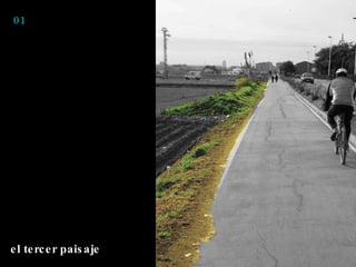 el tercer paisaje 01 