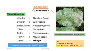 (CYSTOPUS)
Classification:
Kingdom : Mycota / Fungi
Division : Eumycotina
Subdivision: Mastigomycotina
Class : Oomycetes
Order : Peranosporales
Family : Albuginaceae
Genus : Albugo By:
Dr P B MALLIKHARJUNA
GFGC YELAHANKA BANGALORE - 64
Infected mustard leaf with white pustules
GFGC Yelahanka 1
3/11/2022
Ploidy state is controversial : Diploid / Haploid
 