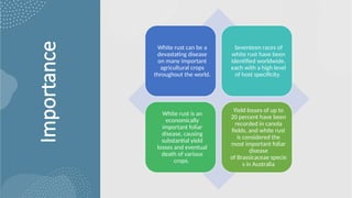 22
Importance White rust can be a
devastating disease
on many important
agricultural crops
throughout the world.
Seventeen races of
white rust have been
identified worldwide,
each with a high level
of host specificity.
White rust is an
economically
important foliar
disease, causing
substantial yield
losses and eventual
death of various
crops.
Yield losses of up to
20 percent have been
recorded in canola
fields, and white rust
is considered the
most important foliar
disease
of Brassicaceae specie
s in Australia
 