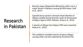 25
Research
in Pakistan
Brassica napus (Rapeseed) affected by white rust is a
major threat in Pakistan causing 60-90% losses. (Asif
et al., 2017)
Capsella bursa-pastoris showed mixed infection of
Albugo candida during diversity study of Oomycyctes
of Bajaur Agency FATA, Pakistan. (Haq et al., 2015).
5 species of Albugo from Bajaur FATA were reported.
(Haq et al., 2015).
The candidum (candida) species of genus Albugo
causing white rust first reported by Gmelin(1972)
 
