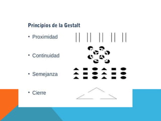 Albuja   guzmán taller 2