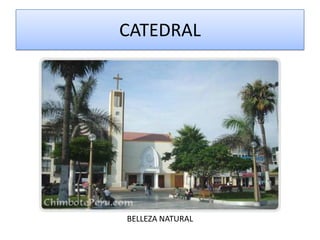 CATEDRAL




BELLEZA NATURAL
 