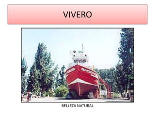 VIVERO




BELLEZA NATURAL
 