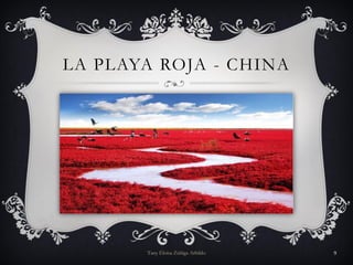LA PLAYA ROJA - CHINA
Tany Eloísa Zúñiga Arbildo 9
 