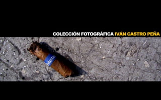 Album Fotografico Ivan Castro