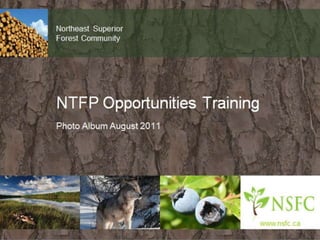NTFP Opportunities Training Program Album