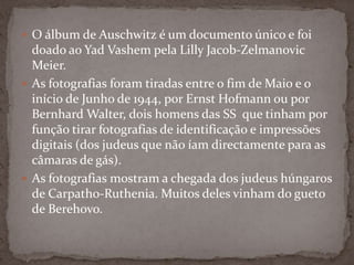  O álbum de Auschwitz é um documento único e foi
  doado ao Yad Vashem pela Lilly Jacob-Zelmanovic
  Meier.
 As fotografias foram tiradas entre o fim de Maio e o
  início de Junho de 1944, por Ernst Hofmann ou por
  Bernhard Walter, dois homens das SS que tinham por
  função tirar fotografias de identificação e impressões
  digitais (dos judeus que não íam directamente para as
  câmaras de gás).
 As fotografias mostram a chegada dos judeus húngaros
  de Carpatho-Ruthenia. Muitos deles vinham do gueto
  de Berehovo.
 