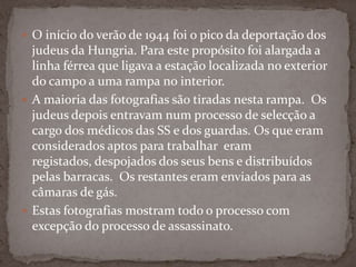  O início do verão de 1944 foi o pico da deportação dos
  judeus da Hungria. Para este propósito foi alargada a
  linha férrea que ligava a estação localizada no exterior
  do campo a uma rampa no interior.
 A maioria das fotografias são tiradas nesta rampa. Os
  judeus depois entravam num processo de selecção a
  cargo dos médicos das SS e dos guardas. Os que eram
  considerados aptos para trabalhar eram
  registados, despojados dos seus bens e distribuídos
  pelas barracas. Os restantes eram enviados para as
  câmaras de gás.
 Estas fotografias mostram todo o processo com
  excepção do processo de assassinato.
 