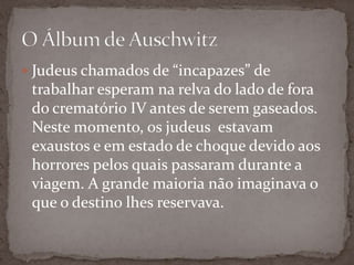  Judeus chamados de “incapazes” de
 trabalhar esperam na relva do lado de fora
 do crematório IV antes de serem gaseados.
 Neste momento, os judeus estavam
 exaustos e em estado de choque devido aos
 horrores pelos quais passaram durante a
 viagem. A grande maioria não imaginava o
 que o destino lhes reservava.
 