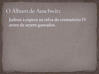  Judeus à espera na relva do crematório IV
 antes de serem gaseados.
 