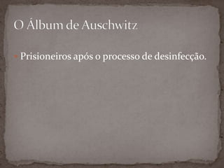  Prisioneiros após o processo de desinfecção.
 