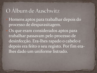  Homens aptos para trabalhar depois do
  processo de desparasitagem.
 Os que eram considerados aptos para
  trabalhar passavam pelo processo de
  desinfecção. Era-lhes rapado o cabelo e
  depois era feito o seu registo. Por fim era-
  lhes dado um uniforme listrado.
 