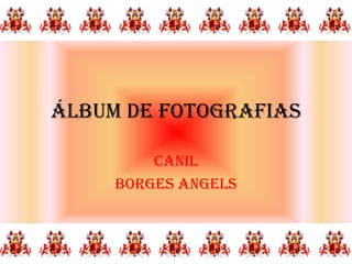 Álbum de fotografias

         CANIL
     BORGES ANGELS
 