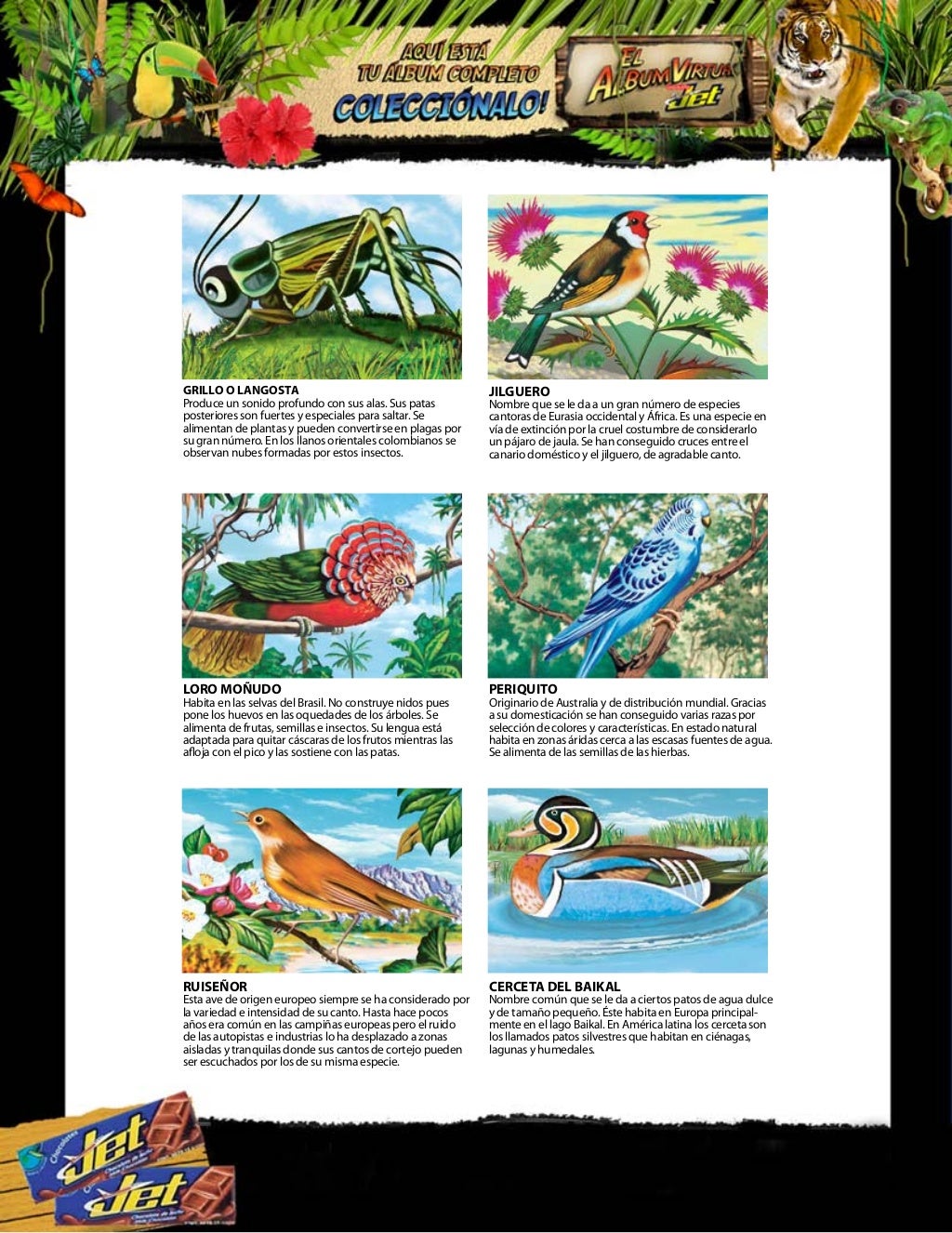 Album chocolates jet, historia natural