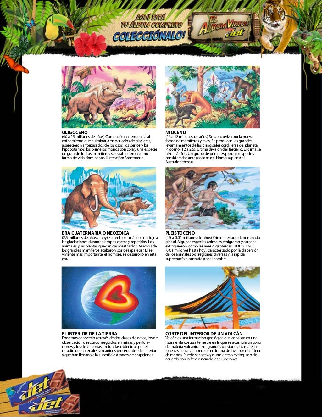 Album chocolates jet, historia natural