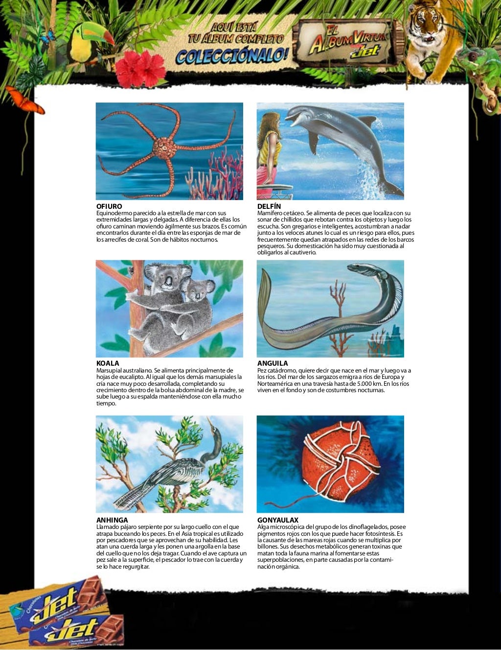 Album chocolates jet, historia natural