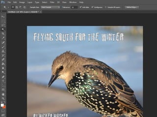 Album cover production