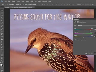 Album cover production