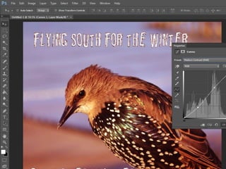 Album cover production