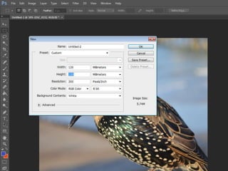 Album cover production