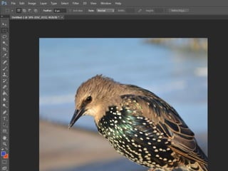 Album cover production