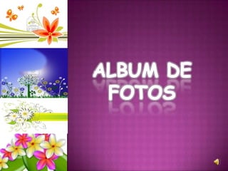 ALBUM DE FOTOS 