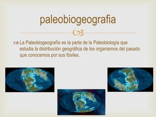 
 La Paleobiogeografía es la parte de la Paleobiología que
estudia la distribución geográfica de los organismos del pasado
que conocemos por sus fósiles.
paleobiogeografia
 