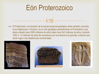 
 El Proterozoico una división de la escala temporal geológica antes también conocida
como Algónquico o Eozoico, es un eón geológico perteneciente al Precámbrico que
abarca desde hace 2500 millones de años hasta hace 542 millones de años, durando
1958 ± 1,0 millones de años.Se caracteriza por la presencia de grandes cratones que
darán lugar a las plataformas continentales
Eón Proterozoico
 