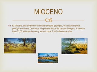 
 El Mioceno, una división de la escala temporal geológica, es la cuarta época
geológica de la era Cenozoica y la primera época del periodo Neógeno. Comenzó
hace 23,03 millones de años y terminó hace 5,332 millones de años
MIOCENO
 