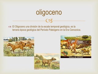 
 El Oligoceno una división de la escala temporal geológica, es la
tercera época geológica del Período Paleógeno en la Era Cenozoica.
oligoceno
 
