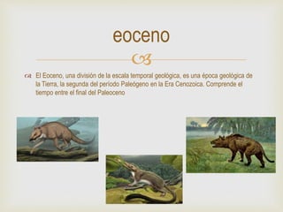 
 El Eoceno, una división de la escala temporal geológica, es una época geológica de
la Tierra, la segunda del período Paleógeno en la Era Cenozoica. Comprende el
tiempo entre el final del Paleoceno
eoceno
 
