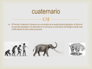 
 El Período Cuaternario o Neozoico es una división de la escala temporal geológica, el último de
los períodos geológicos. Se desarrolla en el Cenozoico a continuación del Neógeno desde hace
2,588 millones de años hasta el presente
cuaternario
 