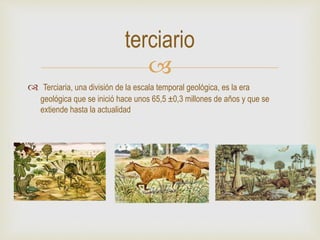 
 Terciaria, una división de la escala temporal geológica, es la era
geológica que se inició hace unos 65,5 ±0,3 millones de años y que se
extiende hasta la actualidad
terciario
 