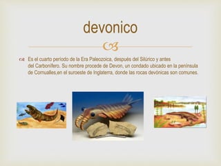 
 Es el cuarto período de la Era Paleozoica, después del Silúrico y antes
del Carbonífero. Su nombre procede de Devon, un condado ubicado en la península
de Cornualles,en el suroeste de Inglaterra, donde las rocas devónicas son comunes.
devonico
 