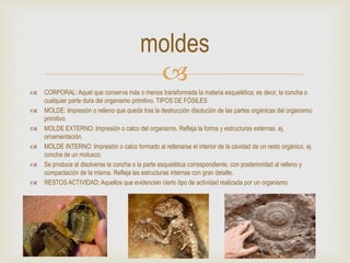 
 CORPORAL: Aquel que conserva más o menos transformada la materia esquelética; es decir, la concha o
cualquier parte dura del organismo primitivo. TIPOS DE FÓSILES
 MOLDE: Impresión o relleno que queda tras la destrucción disolución de las partes orgánicas del organismo
primitivo.
 MOLDE EXTERNO: Impresión o calco del organismo. Refleja la forma y estructuras externas. ej.
ornamentación.
 MOLDE INTERNO: Impresión o calco formado al rellenarse el interior de la cavidad de un resto orgánico. ej.
concha de un molusco.
 Se produce al disolverse la concha o la parte esquelética correspondiente, con posterioridad al relleno y
compactación de la misma. Refleja las estructuras internas con gran detalle.
 RESTOS ACTIVIDAD: Aquellos que evidencian cierto tipo de actividad realizada por un organismo
moldes
 