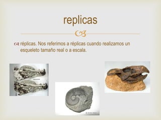 
 réplicas. Nos referimos a réplicas cuando realizamos un
esqueleto tamaño real o a escala.
replicas
 