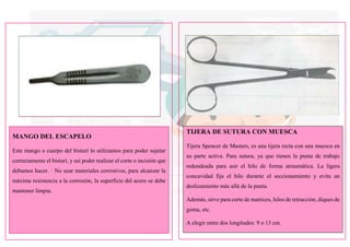 MANGO DEL ESCAPELO
Este mango o cuerpo del bisturí lo utilizamos para poder sujetar
correctamente el bisturí, y así poder realizar el corte o incisión que
debamos hacer. · No usar materiales corrosivos, para alcanzar la
máxima resistencia a la corrosión, la superficie del acero se debe
mantener limpia.
TIJERA DE SUTURA CON MUESCA
Tijera Spencer de Masters, es una tijera recta con una muesca en
su parte activa. Para sutura, ya que tienen la punta de trabajo
redondeada para asir el hilo de forma atraumática. La ligera
concavidad fija el hilo durante el seccionamiento y evita un
deslizamiento más allá de la punta.
Además, sirve para corte de matrices, hilos de retracción, diques de
goma, etc.
A elegir entre dos longitudes: 9 o 13 cm.
 