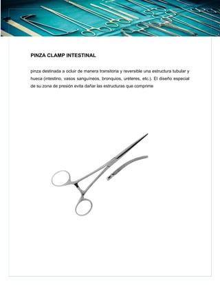Pinza Intestinales Curvas ALBUM DE PINZAS practica quirurgicas.pdf