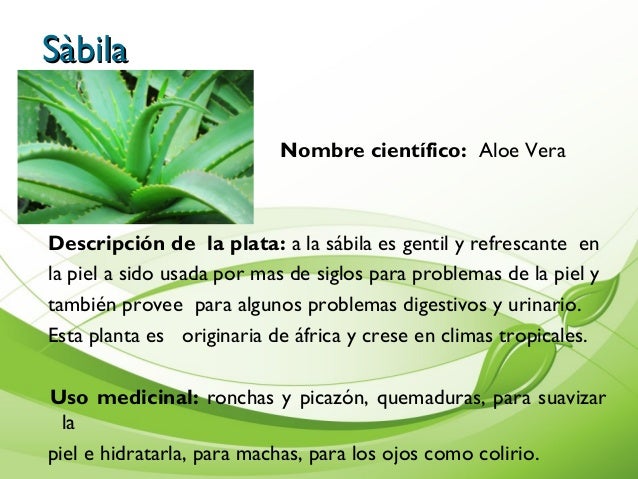 Album de Plantas Album de Plantas