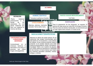 ALBUM DE PLANTAS MEDICINALES PARA LA SALUD | PDF