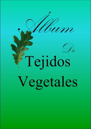 1
Álbum
De
Tejidos
Vegetales
 
