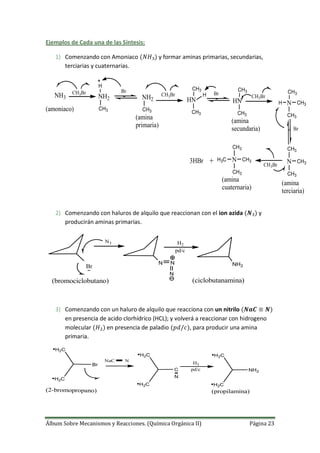 Álbum Sobre Mecanismos y Reacciones. (Química Orgánica II) Página 23
Ejemplos de Cada una de las Síntesis:
1) Comenzando con Amoniaco y formar aminas primarias, secundarias,
terciarias y cuaternarias.
NH3
(amoniaco)
CH3Br
NH2
CH3
H
CH3Br
Br
NH2
CH3
HN
CH3
CH3
H Br
HN
CH3
CH3
CH3Br
N
CH3
CH3
H CH3
Br
N
CH3
CH3
CH3
CH3Br
N
CH3
CH3
CH3H3C+
(amina
primaria)
(amina
secundaria)
(amina
terciaria)
(amina
cuaternaria)
3HBr
2) Comenzando con haluros de alquilo que reaccionan con el ion azida y
producirán aminas primarias.
Br
N3
N N
N
H2
pd/c
NH2
(bromociclobutano) (ciclobutanamina)
3) Comenzando con un haluro de alquilo que reacciona con un nitrilo
en presencia de acido clorhídrico (HCL); y volverá a reaccionar con hidrogeno
molecular en presencia de paladio , para producir una amina
primaria.
•H2C
•H2C
Br
(2-bromopropano)
NaC N
•H2C
•H2C
C
N
H2
pd/c
•H2C
•H2C
NH2
(propilamina)
 