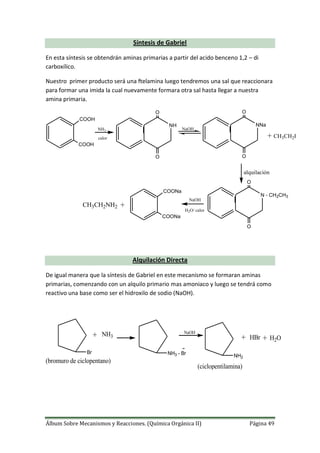 Álbum Sobre Mecanismos y Reacciones. (Química Orgánica II) Página 49
Síntesis de Gabriel
En esta síntesis se obtendrán aminas primarias a partir del acido benceno 1,2 – di
carboxílico.
Nuestro primer producto será una ftelamina luego tendremos una sal que reaccionara
para formar una imida la cual nuevamente formara otra sal hasta llegar a nuestra
amina primaria.
+
COOH
COOH
NH3
calor
NH
O
O
NaOH
NNa
O
O
CH3CH2I
alquilación
+
N - CH2CH3
O
O
NaOH
H2O/ calor
COONa
COONa
CH3CH2NH2
Alquilación Directa
De igual manera que la síntesis de Gabriel en este mecanismo se formaran aminas
primarias, comenzando con un alquilo primario mas amoniaco y luego se tendrá como
reactivo una base como ser el hidroxilo de sodio (NaOH).
Br
+ NH3
NH3 - Br
NaOH
NH2
+ +HBr H2O
(bromuro de ciclopentano)
(ciclopentilamina)
 