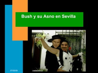 Bush y su Asno en Sevilla