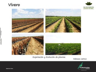 Vivero




         Enjertación y Evolución de plantas
                                              Febrero 2012
 