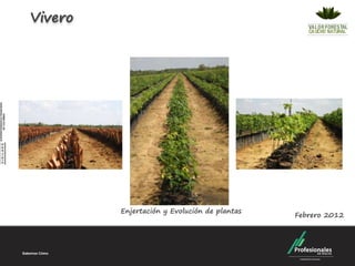 Vivero




         Enjertación y Evolución de plantas
                                              Febrero 2012
 