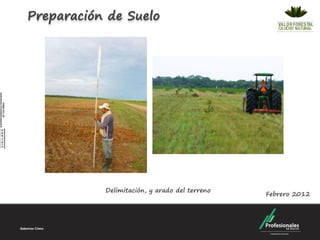 Preparación de Suelo




           Delimitación, y arado del terreno
                                               Febrero 2012
 