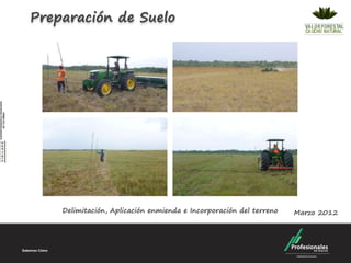 Preparación de Suelo




    Delimitación, Aplicación enmienda e Incorporación del terreno   Marzo 2012
 