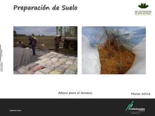 Preparación de Suelo




              Abono para el terreno   Marzo 2012
 