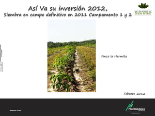 Así Va su inversión 2012,
Siembra en campo definitivo en 2011 Campamento 1 y 2




                                       Finca la Hermita




                                                     Febrero 2012
 
